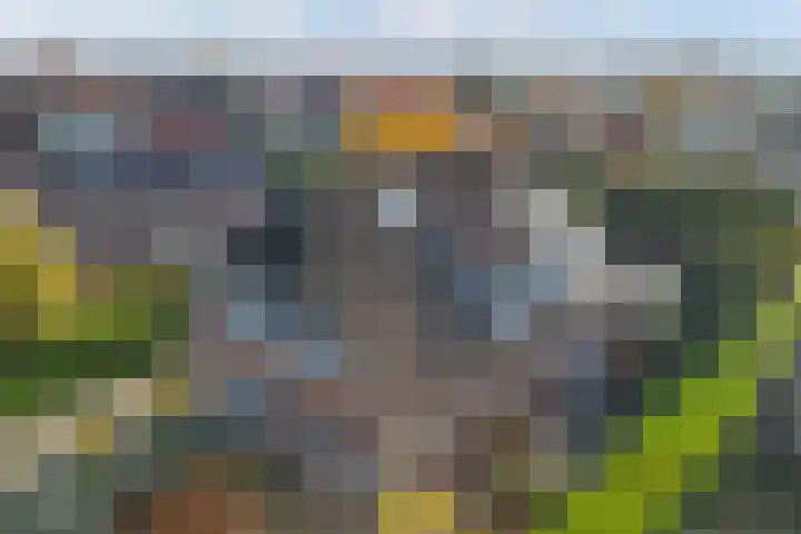 Fogelsanghstate 16 Lelystad thumbnail 58