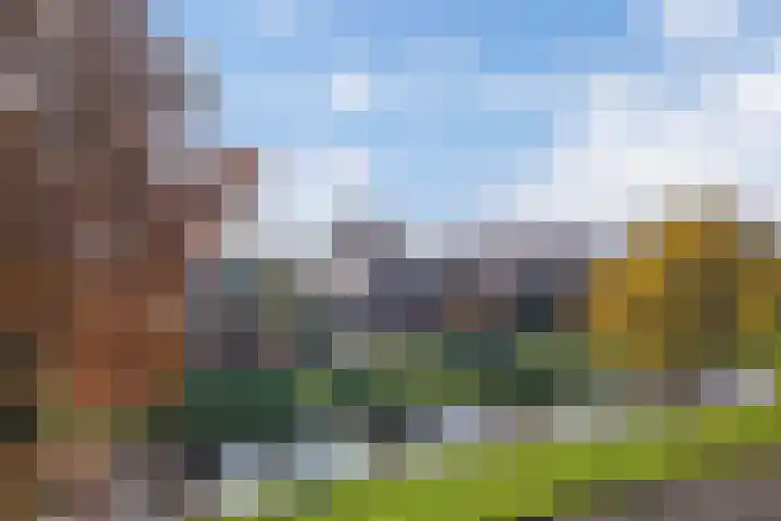 Fogelsanghstate 16 Lelystad thumbnail 60