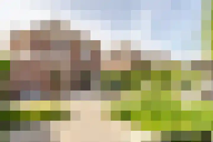 Fogelsanghstate 19 Lelystad thumbnail 37