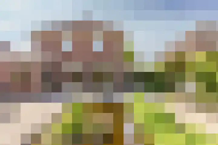 Fogelsanghstate 19 Lelystad thumbnail 38
