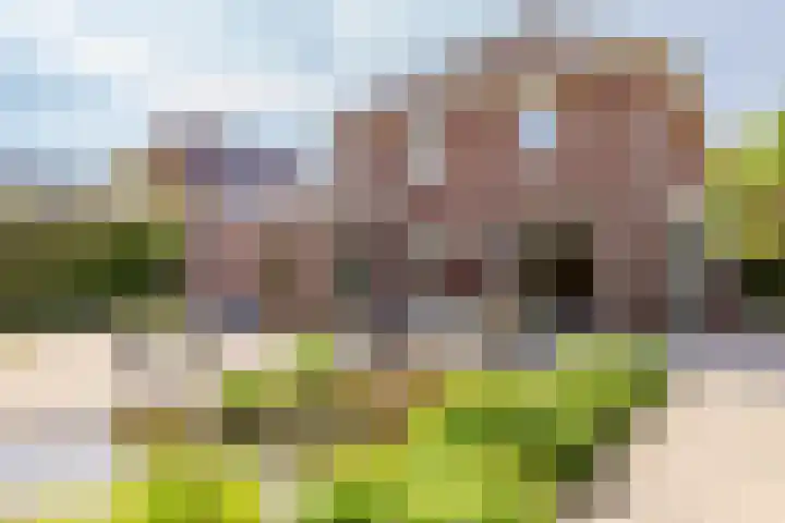 Fogelsanghstate 19 Lelystad thumbnail 39