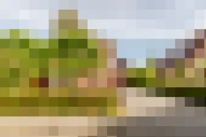Fogelsanghstate 19 Lelystad thumbnail 47