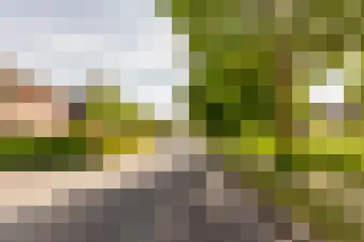 Fogelsanghstate 19 Lelystad thumbnail 49