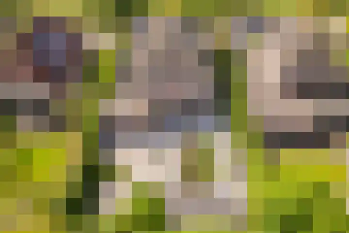 Fogelsanghstate 19 Lelystad thumbnail 50