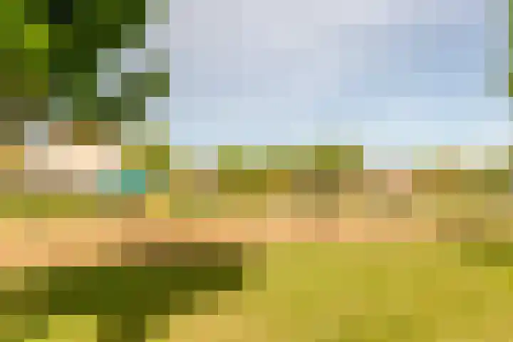 Fogelsanghstate 19 Lelystad thumbnail 52
