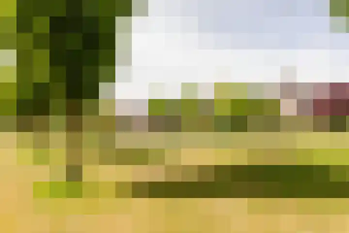 Fogelsanghstate 19 Lelystad thumbnail 53