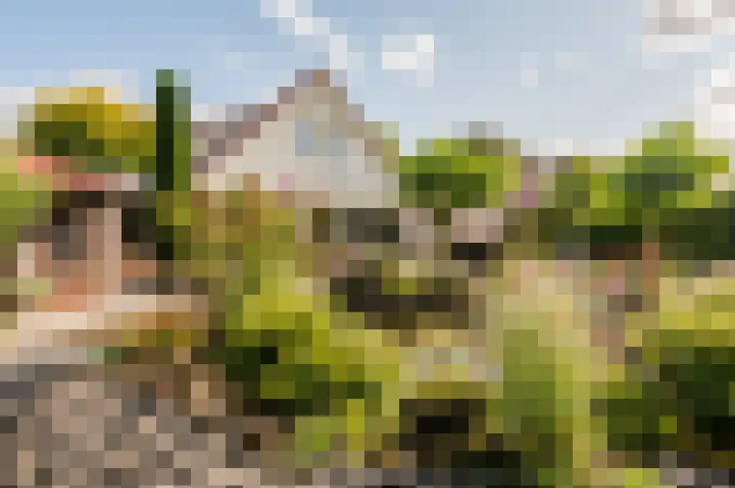 Fogelsanghstate 36 Lelystad thumbnail 49