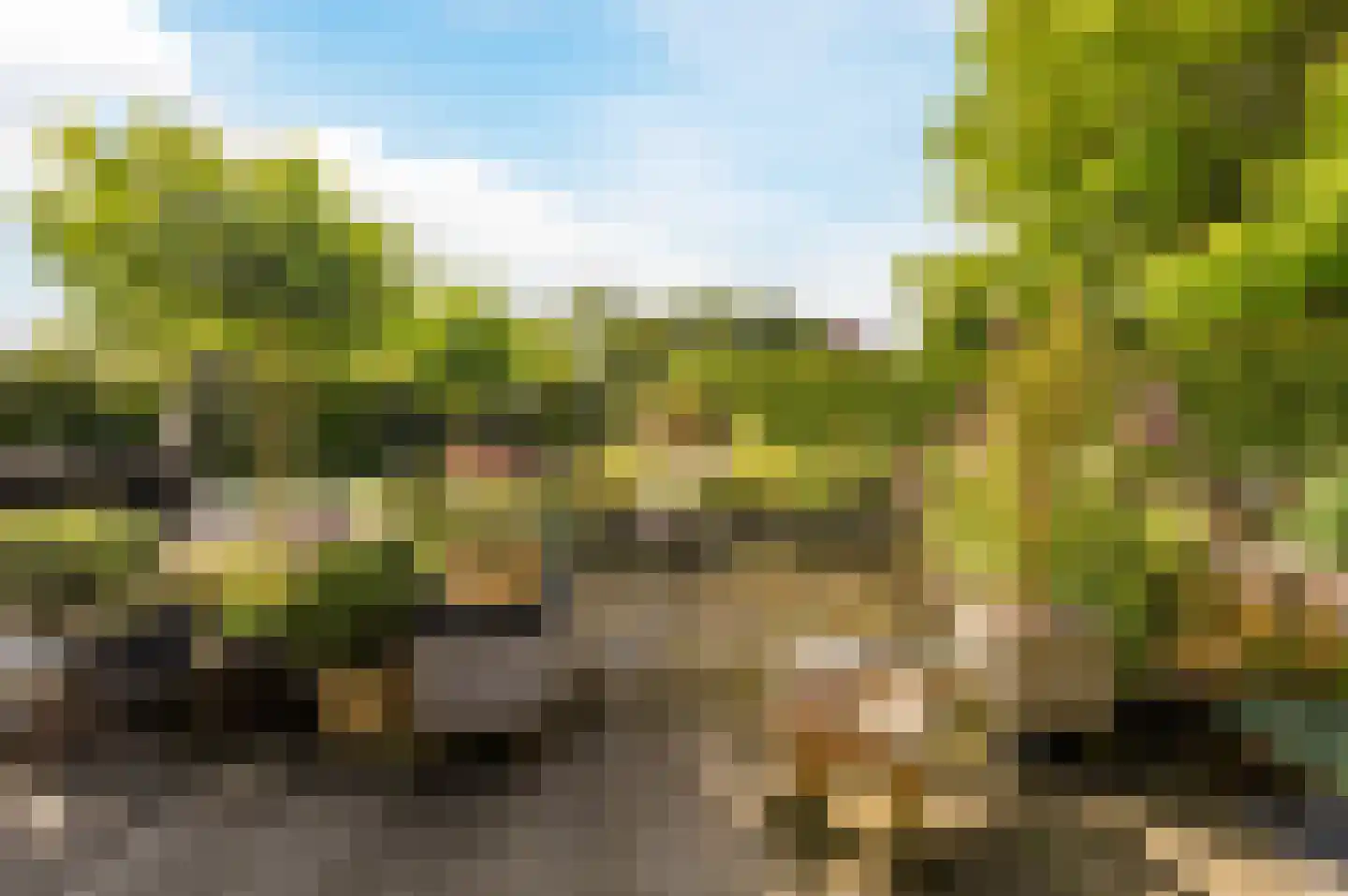 Fogelsanghstate 36 Lelystad thumbnail 51
