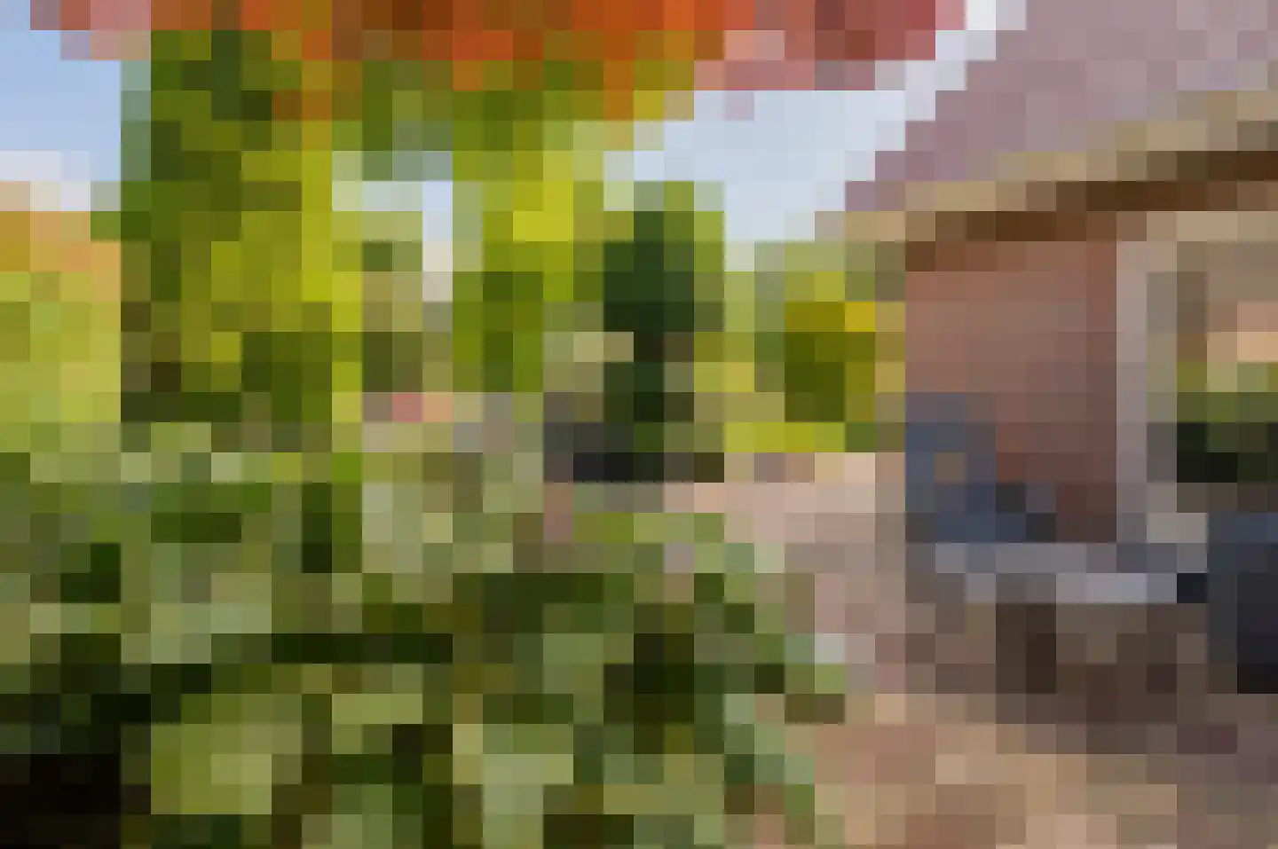 Fogelsanghstate 36 Lelystad thumbnail 59