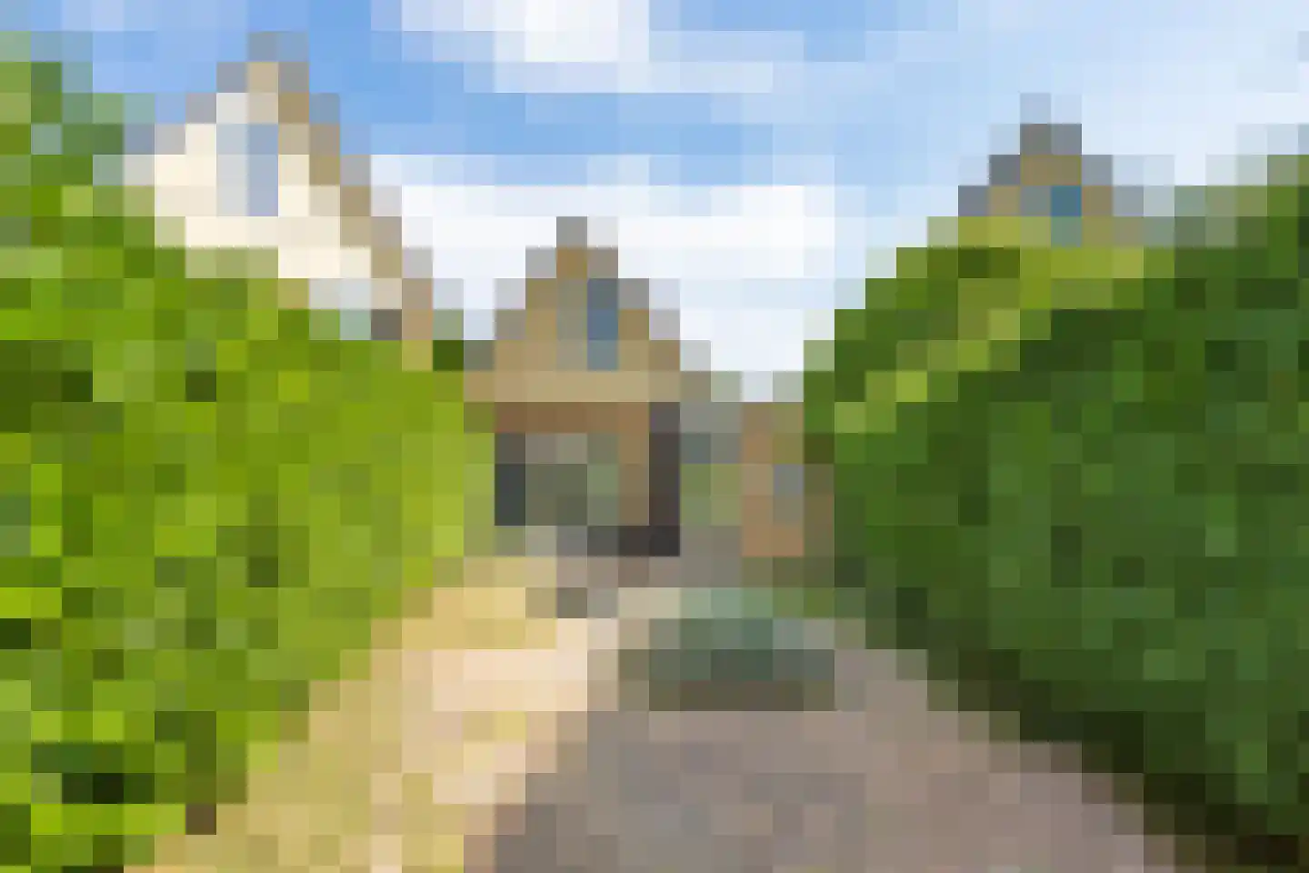 Fogelsanghstate 55 Lelystad thumbnail 30