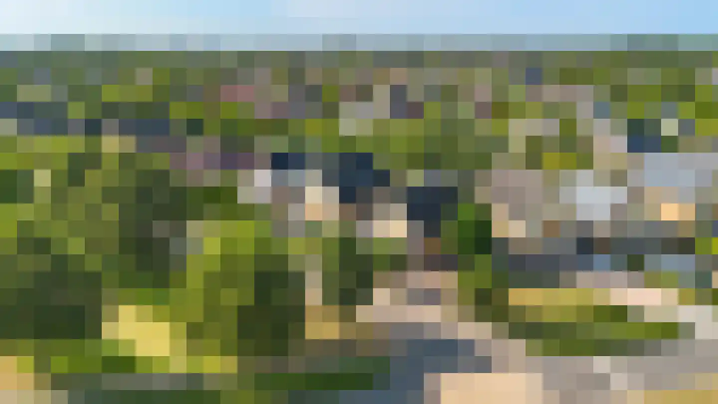 Fogelsanghstate 55 Lelystad thumbnail 38