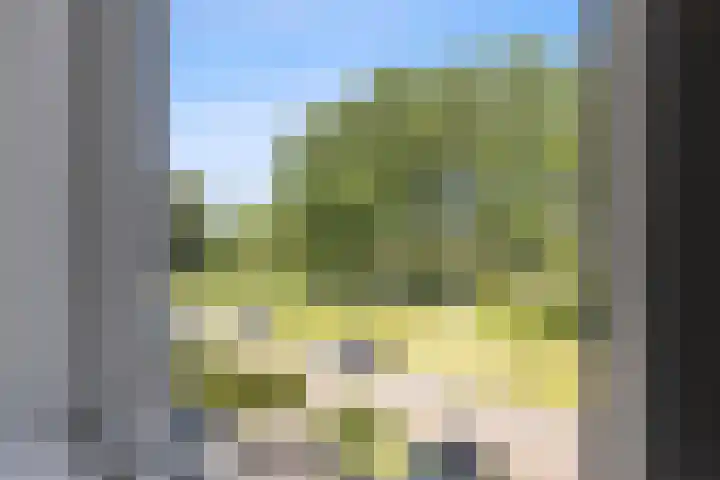 Fogelsanghstate 62 Leeuwarden thumbnail 23