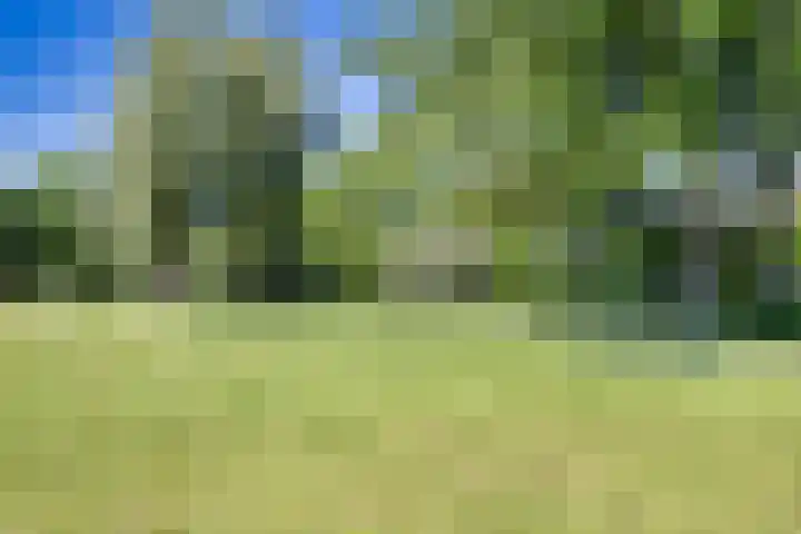 Fogelsanghstate 62 Leeuwarden thumbnail 35