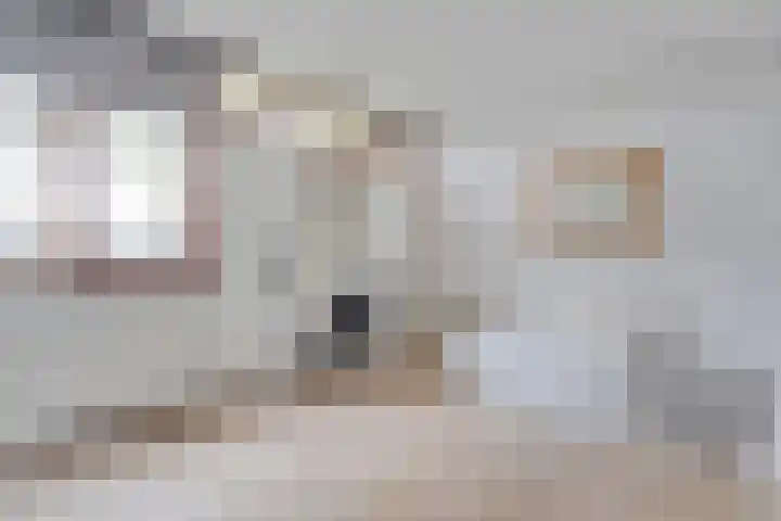 Fogelsanghstate 8 Almelo thumbnail 13