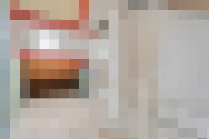 Fogelsanghstate 8 Almelo thumbnail 17