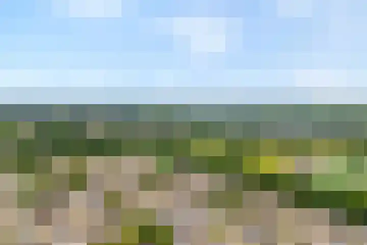 Fogelsanghstate 8 Almelo thumbnail 23