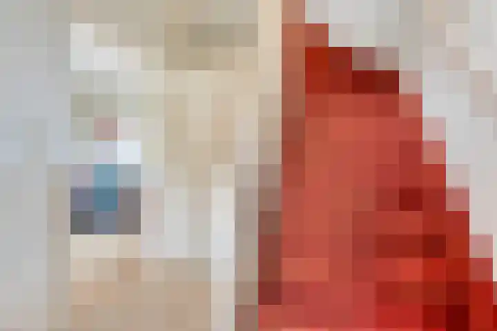 Fogelsanghstate 8 Almelo thumbnail 5