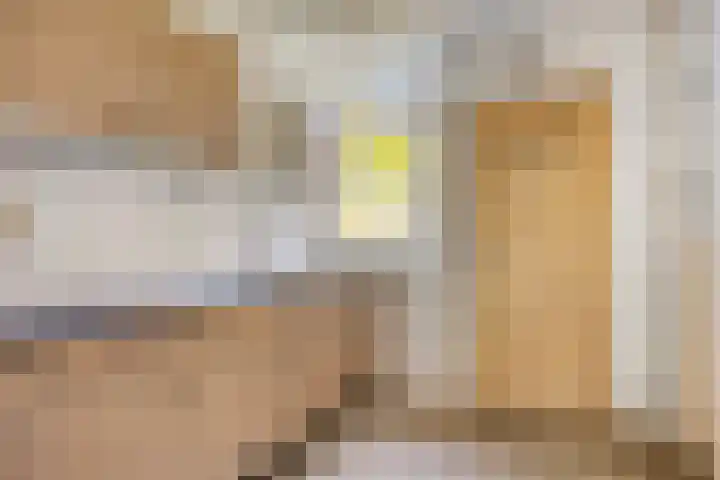 Fogelsanghstraat 21 Burum thumbnail 10