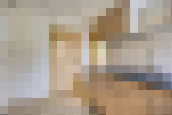 Fogelsanghstraat 21 Burum thumbnail 11