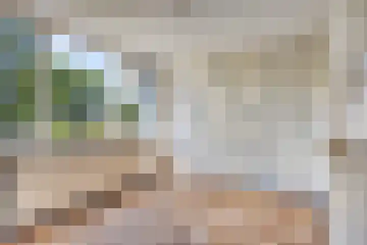 Fogelsanghstraat 21 Burum thumbnail 18