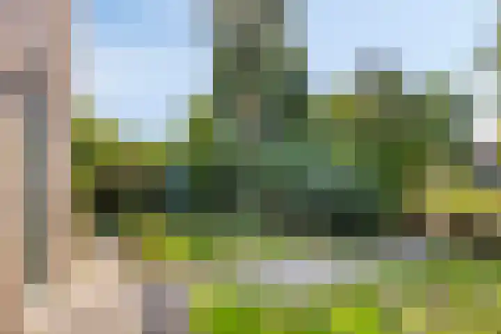 Fogelsanghstraat 21 Burum thumbnail 24