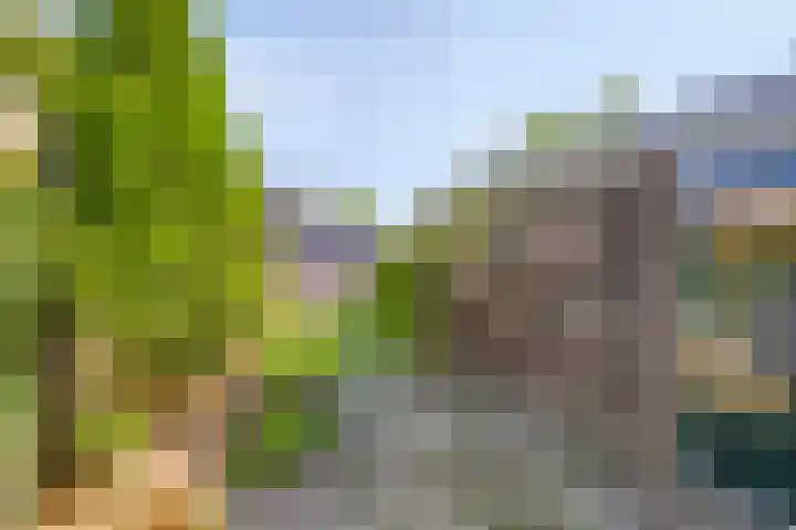 Fogelsanghstraat 21 Burum thumbnail 25