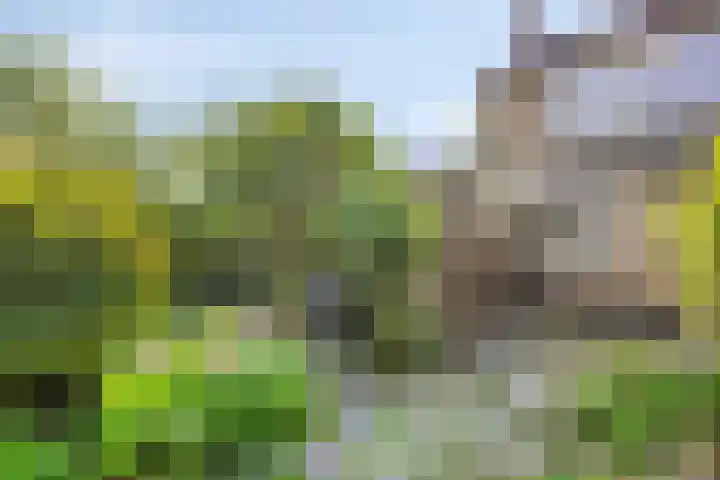 Fogelsanghstraat 21 Burum thumbnail 26