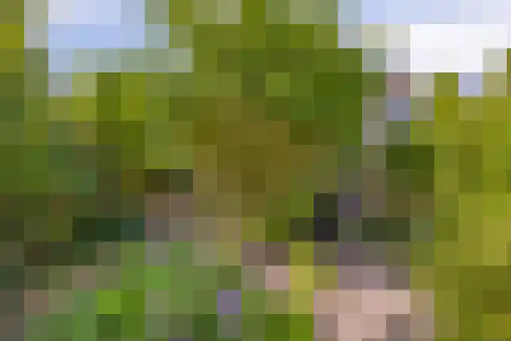 Fogelsanghstraat 21 Burum thumbnail 27