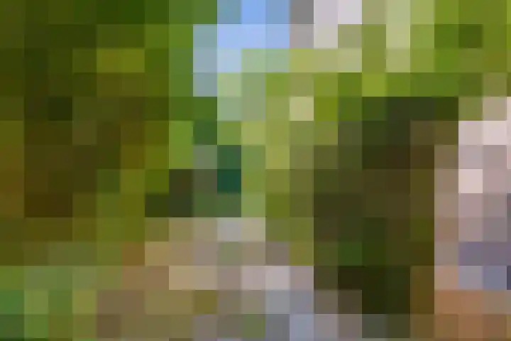 Fogelsanghstraat 21 Burum thumbnail 28