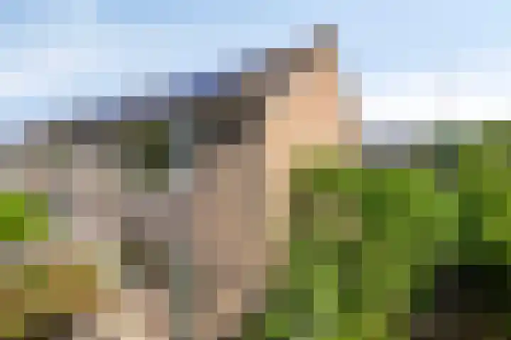 Fogelsanghstraat 21 Burum thumbnail 29