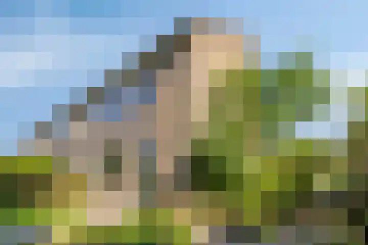 Fogelsanghstraat 21 Burum thumbnail 30