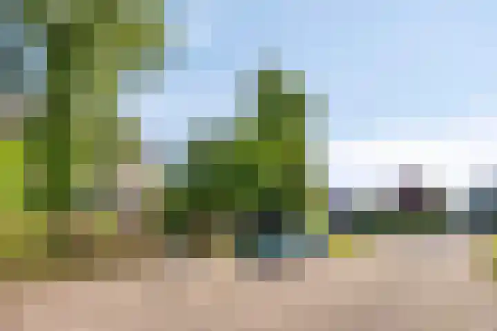 Fogelsanghstraat 21 Burum thumbnail 31