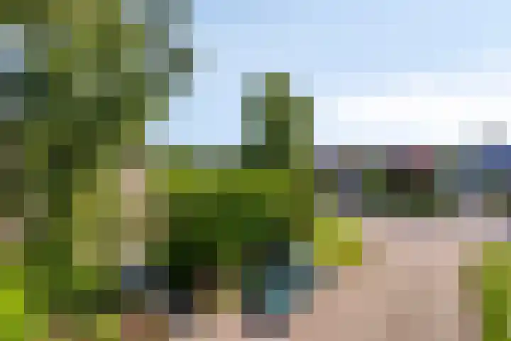 Fogelsanghstraat 21 Burum thumbnail 32