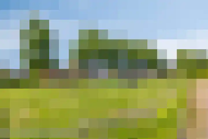 Fogelsanghstraat 21 Burum thumbnail 34