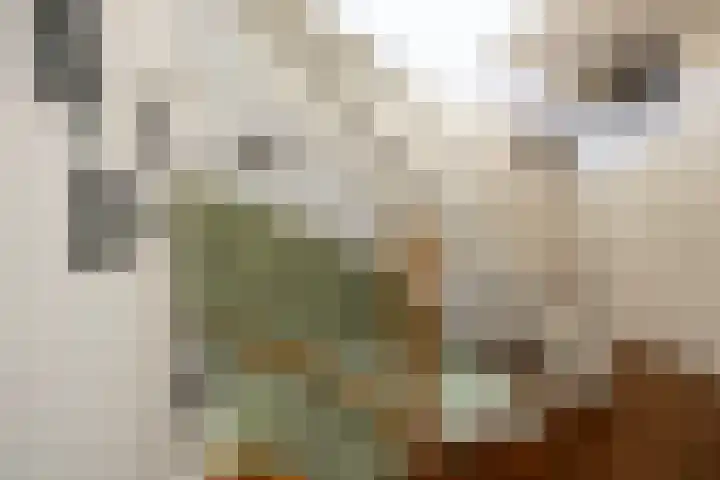 Fok 16 Huizen thumbnail 10