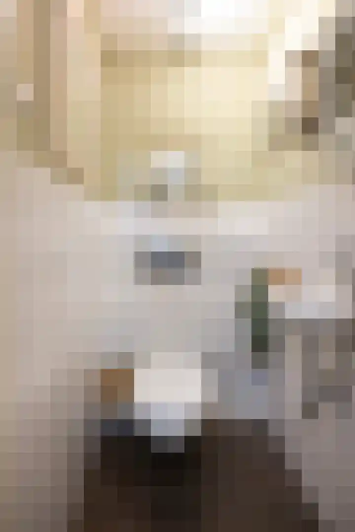 Fok 16 Huizen thumbnail 11