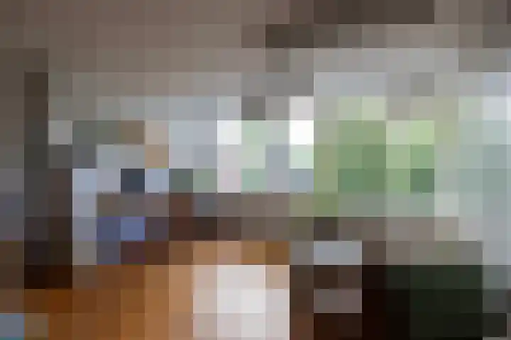 Fok 16 Huizen thumbnail 13