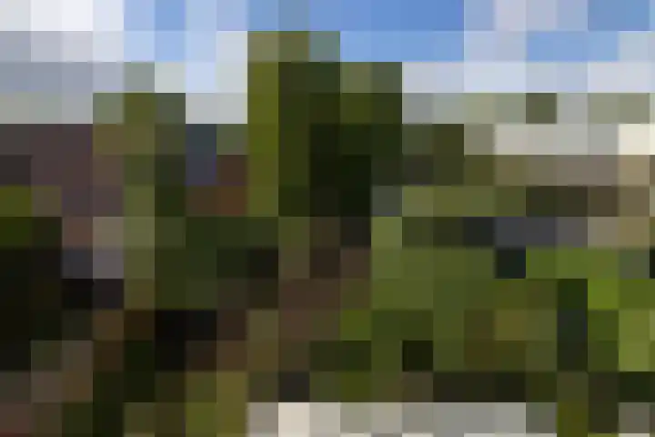Fok 16 Huizen thumbnail 14