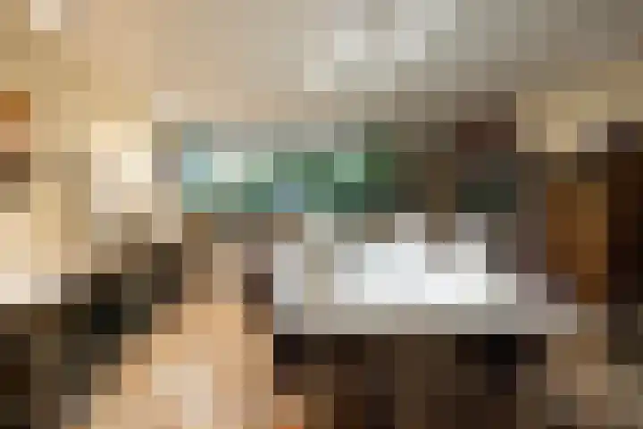 Fok 16 Huizen thumbnail 22