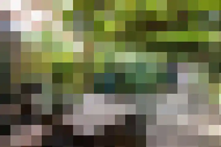 Fok 16 Huizen thumbnail 24