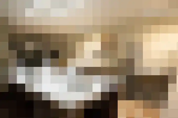 Fok 16 Huizen thumbnail 25