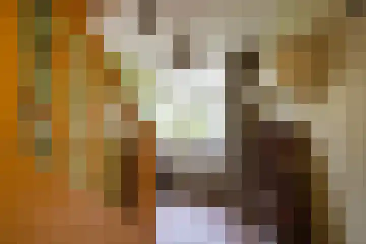 Fok 16 Huizen thumbnail 26