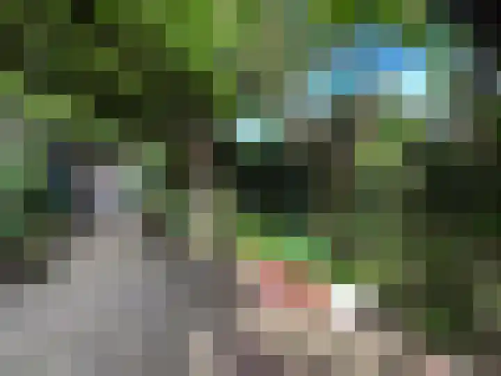 Fok 16 Huizen thumbnail 29