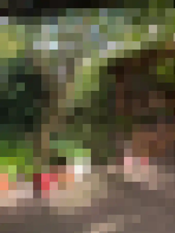 Fok 16 Huizen thumbnail 30