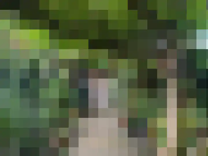 Fok 16 Huizen thumbnail 31