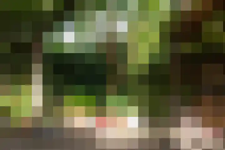 Fok 16 Huizen thumbnail 32