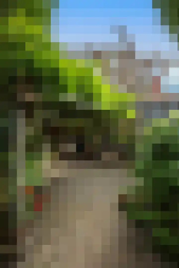Fok 16 Huizen thumbnail 33