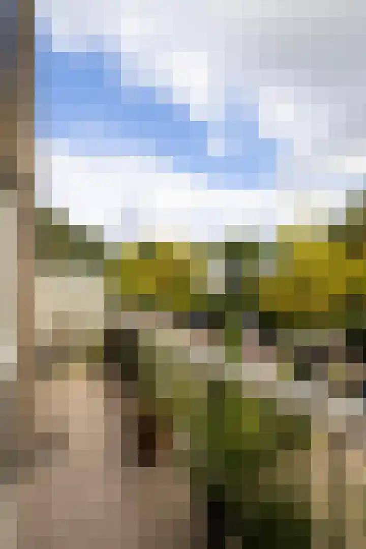 Fok 16 Huizen thumbnail 8