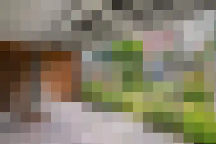 Fok 20 Huizen thumbnail 10