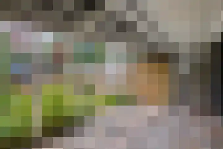 Fok 20 Huizen thumbnail 11